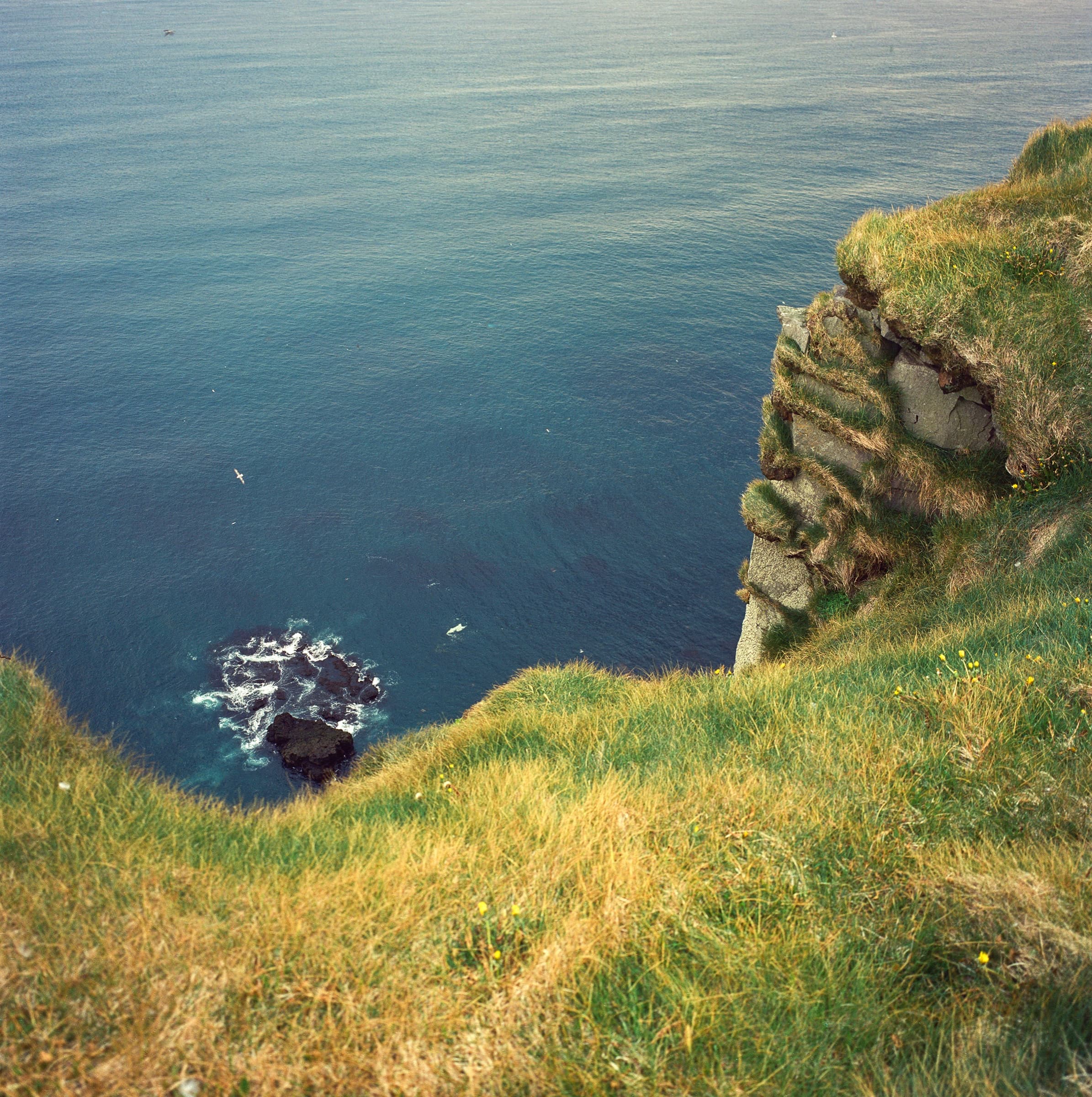 The sheer cliffs of Látrabjarg dropping into the deep blue Atlantic Ocean far below