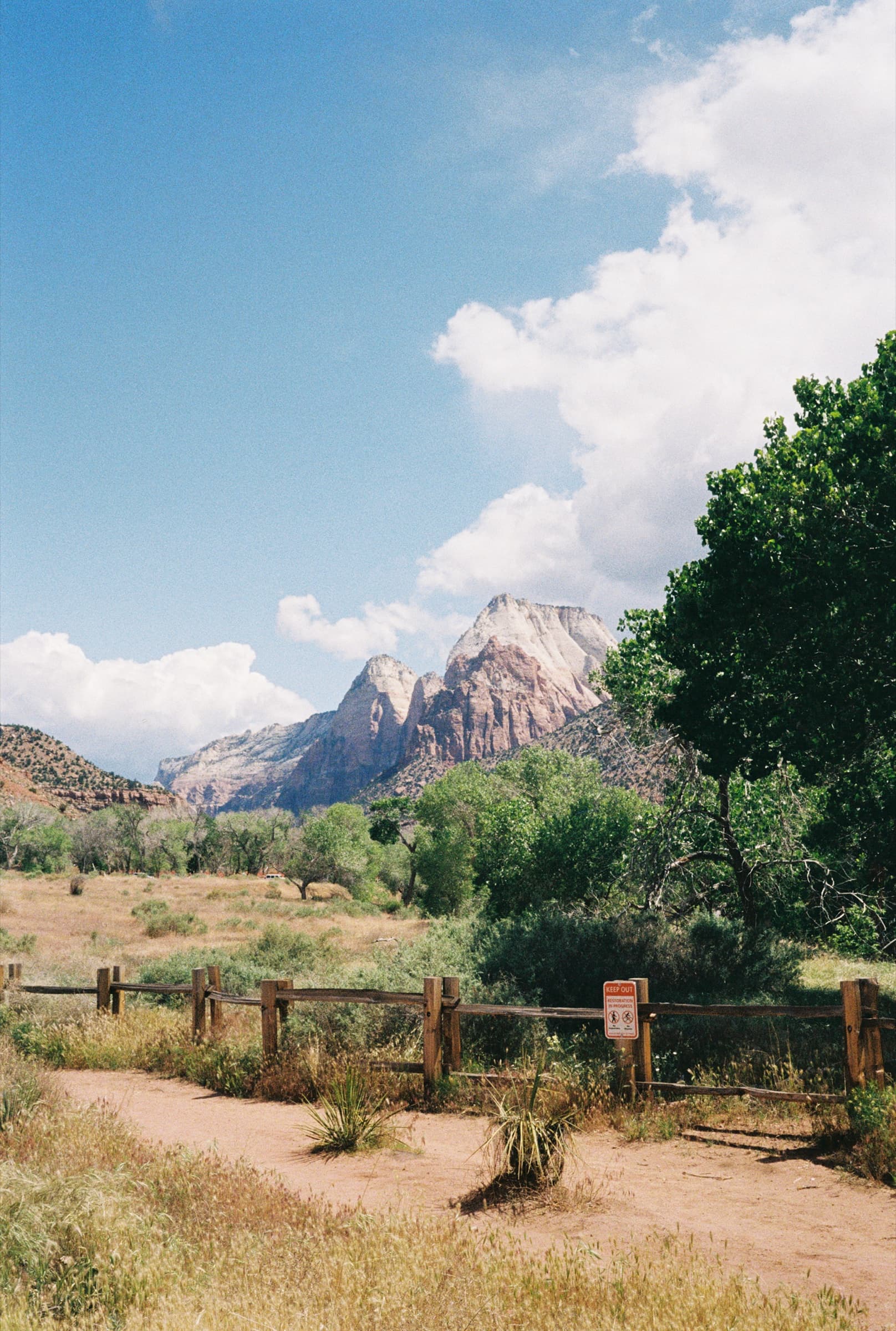 A dirt trail winding through golden scrubland with Zion's towering sandstone walls ahead